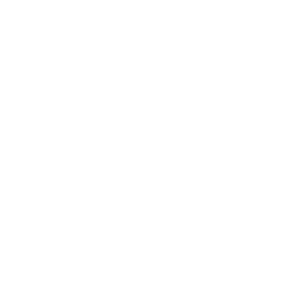 Außergewöhnliche Belastungen